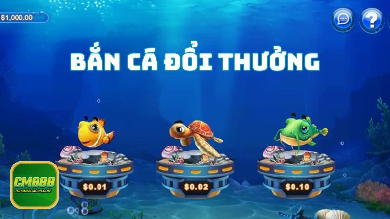 Bắn cá CM888 - Đăng ký, bảo mật và thói quen đăng nhập thông minh cho người mới Bắn cá CM888 - Đăng ký, bảo mật và thói quen đăng nhập thông minh cho người mới