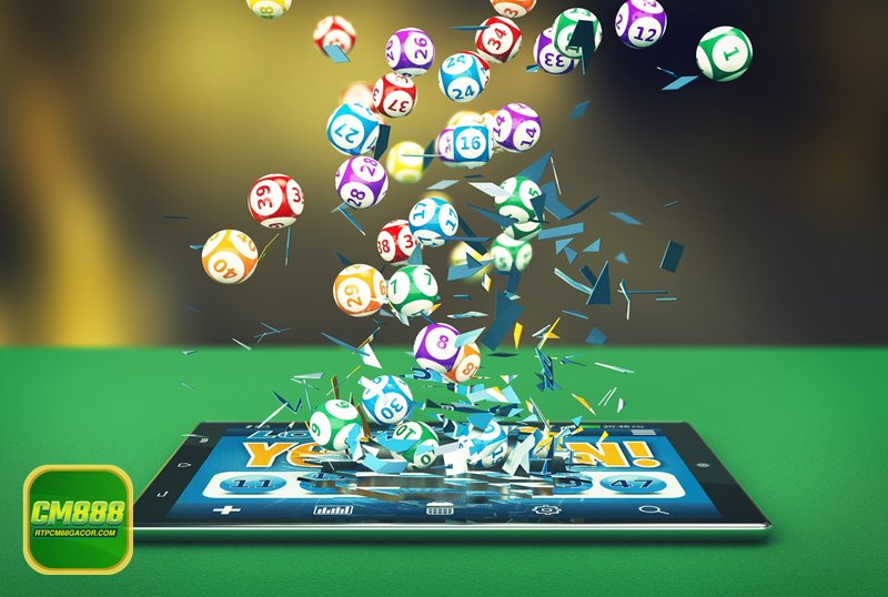 Đầu Lô Câm - Lý do nhiều người chọn nuôi khung 3–5 ngày Đầu Lô Câm - Lý do nhiều người chọn nuôi khung 3–5 ngày